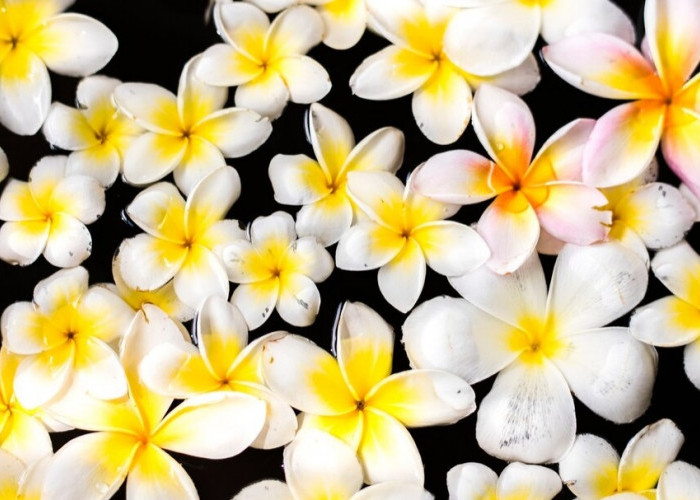 Kebon Kantil Magelang, Taman yang Lekat dengan Masyarakat Jawa