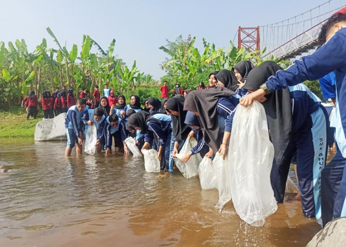 Jaga Ekosistem, Siswa SMK Mipha Parakan Tebar Ribuan Benih Ikan di Sungai Galeh Temanggung