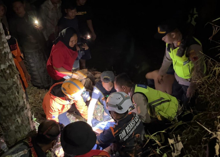 Rem Tangan Tak Kuat, Truk Pengangkut Kuda Terjun ke Jurang Kajoran Magelang