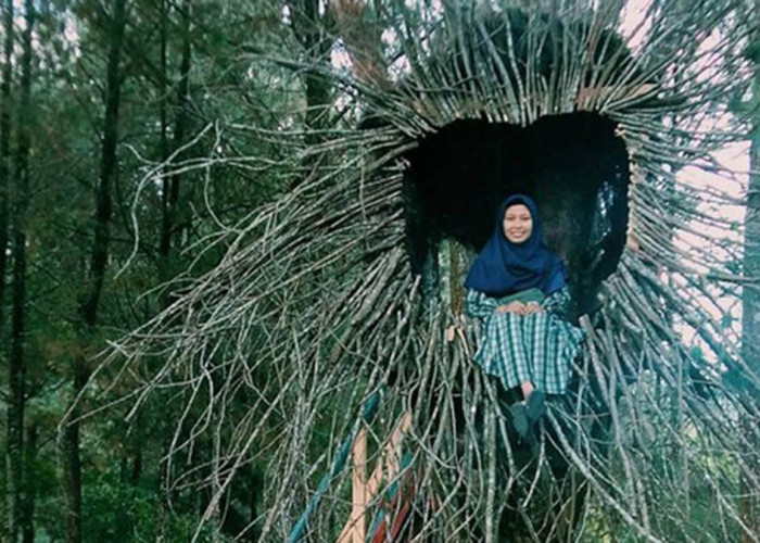 Bawang Wana Tempuran