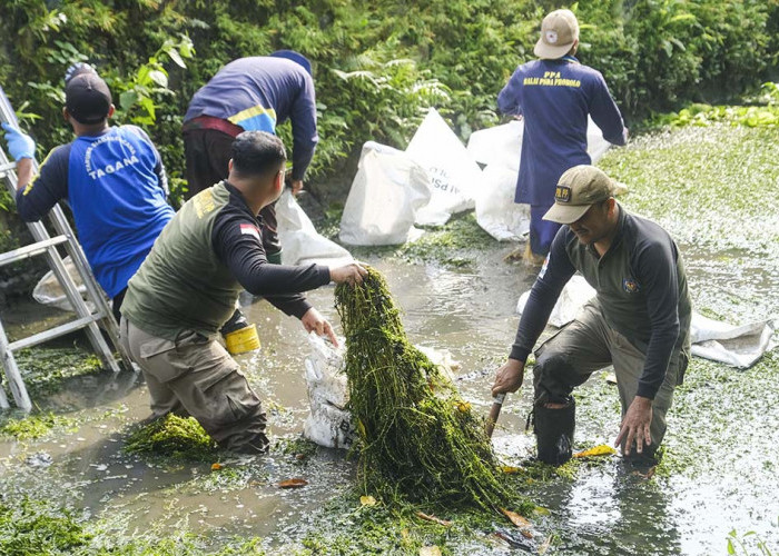 Peringati HKB 2026, Ratusan Relawan Turun Bersihkan Sampah di Kali Bening Kota Magelang