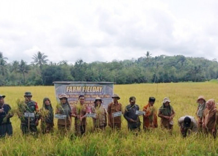 Petani Sinjai Harapkan Bulog Serap Gabah Sesuai Ketetapan HPP Pemerintah