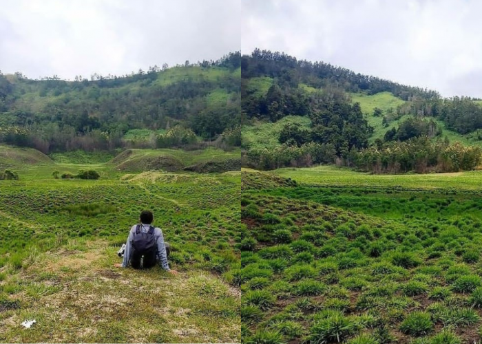 Savana Pangonan: Keindahan Padang Savana Gunung Pangonan di Wonosobo Yang Penuh Daya Tarik