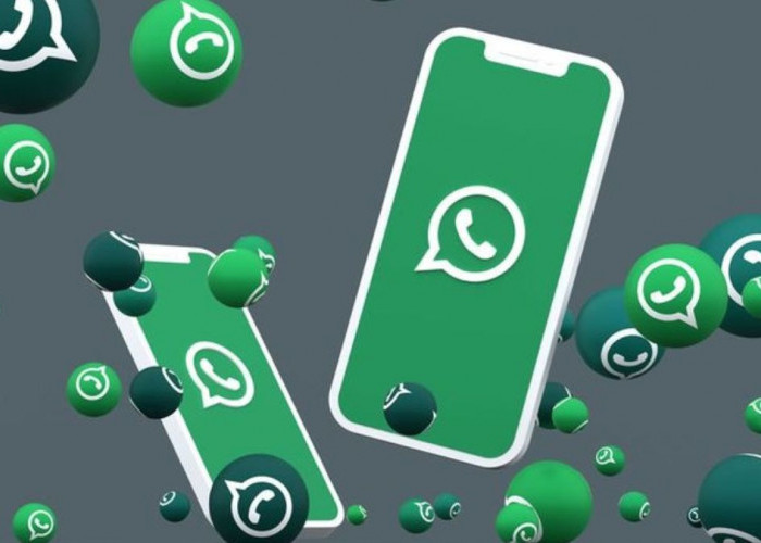 Download GB Whatsapp versi 19.81 Dapatkan Berbagai Macam Fitur Unggulan Terupdate Oktober Anti Banned 