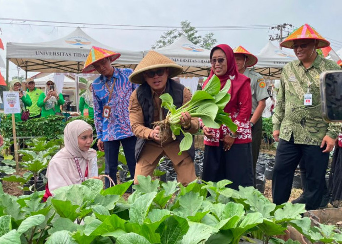 Untidar dan Pemkot Berkolaborasi Bangun Smart Greenhouse Kota Magelang untuk Ketahanan Pangan