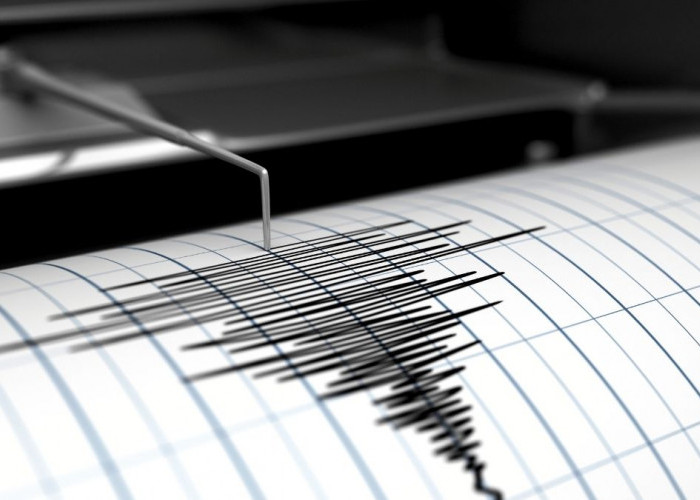 Gempa Malam Ini 5,8 Magnitudo Terasa Sampai Magelang Berpusat di Gunungkidul