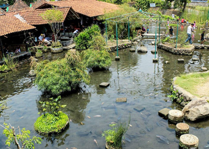 Objek Wisata Tlatar Taman Rekreasi yang Menggabungkan Water Park dengan Alam Pedesaan