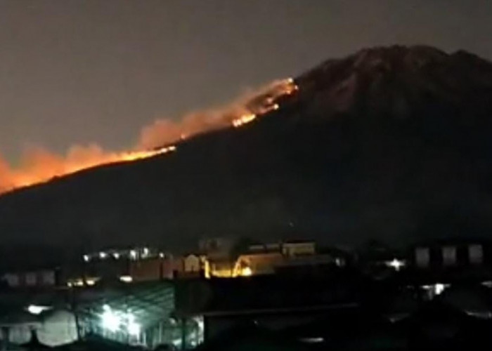 Kebakaran Gunung Sumbing Malam Ini Muncul Lidah Api, Perhutani Tutup Total Jalur Pendakian