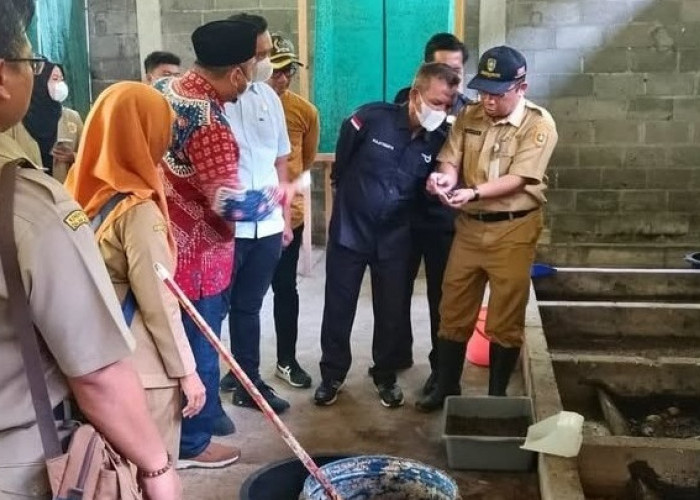 TPA Jetis Purworejo Overload, DLHP Perluas Lahan Jadi 6,6 Hektare pada 2026