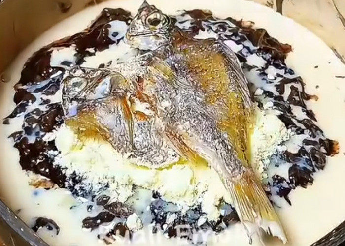 Gunakan Ikan Asin, Champorado Makanan Manis Khas Filipina yang Bercitarasa Unik