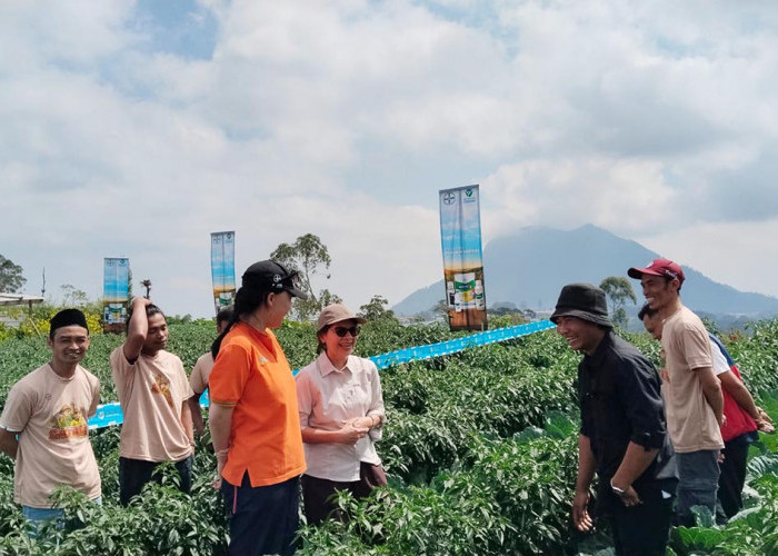 Tangkal Krisis Regenerasi, Bayer Cetak 500 Petani Muda di Magelang Lewat Program Satria