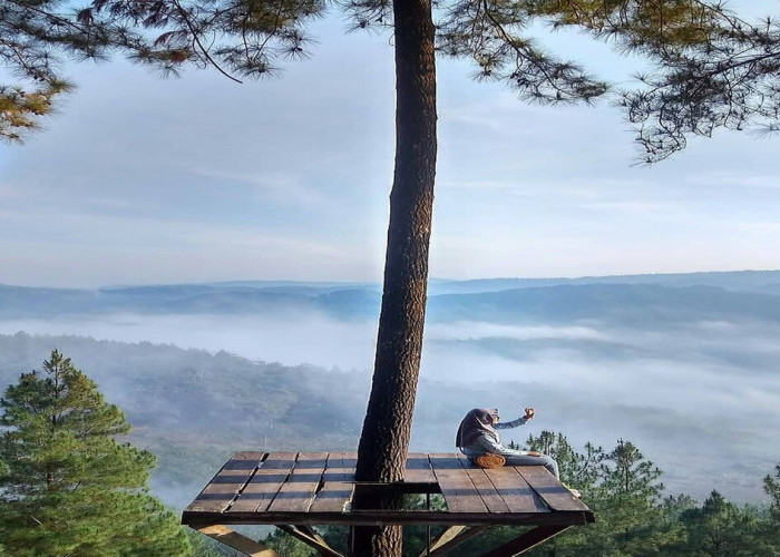 Bukit Pentulu Indah Destinasi Wisata yang Menghadirkan Panorama Alam Sunrise di Atas Awan Kebumen