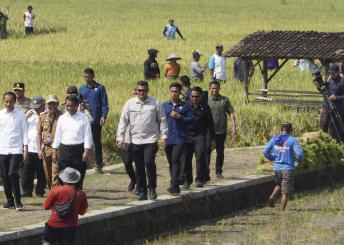 Dengan Pompanisasi, Presiden Jokowi Targetkan Peningkatan Produksi Padi Jawa Tengah