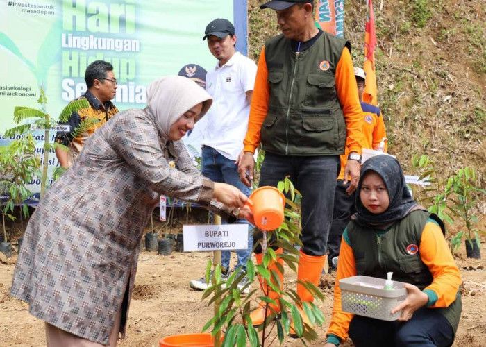BNPB Tanam Ribuan Bibit Pohon di Purworejo untuk Pulihkan Lingkungan Pascabencana