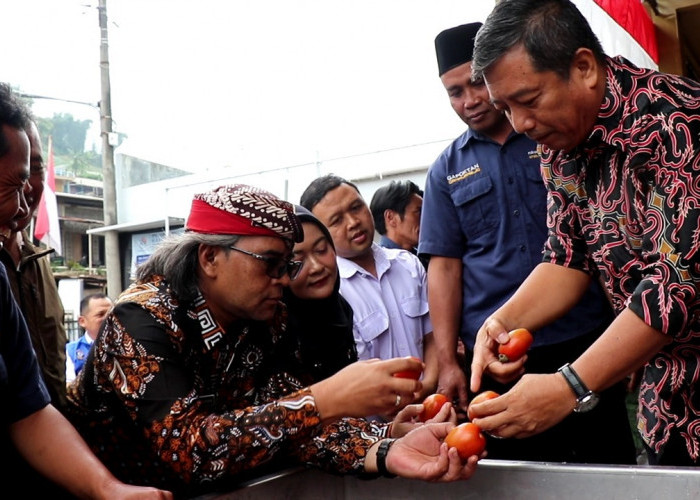 Petani Lereng Gunung Prau Dikenalkan Teknologi Plasma Ozon UNDIP untuk Perpanjang Masa Simpan Hasil Panen
