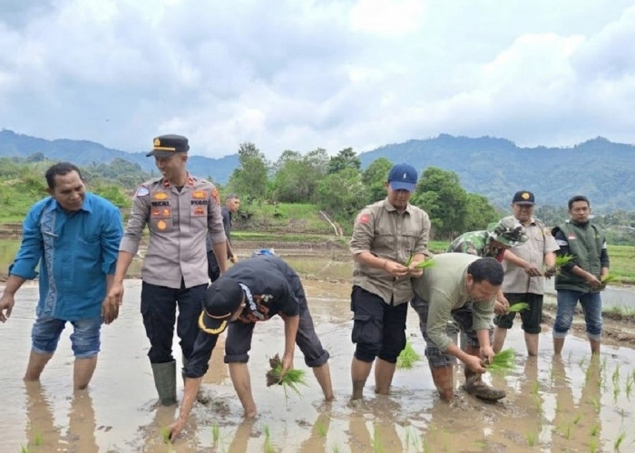 Dorong Swasembada Pangan Berkelanjutan, Aceh Tengah Gelar Tanam Serempak