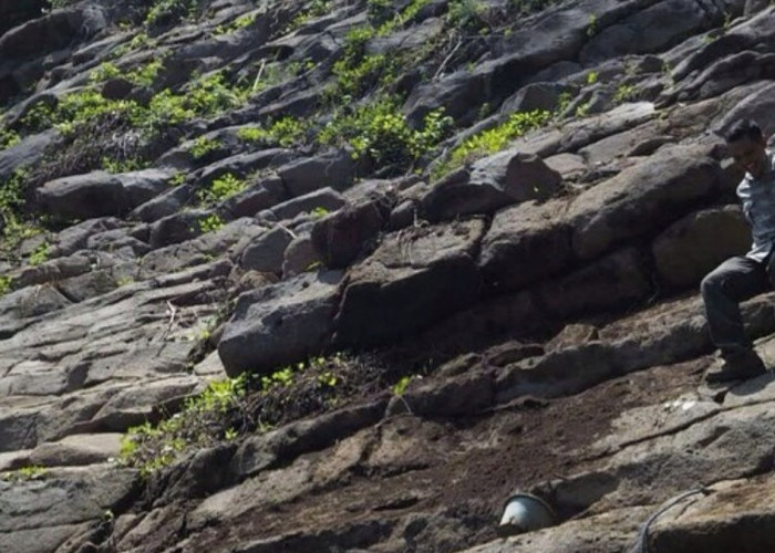 Sering Dianggap Candi, Inilah Fakta Bukit Pajangan Purworejo yang Menghebohkan Masyarakat