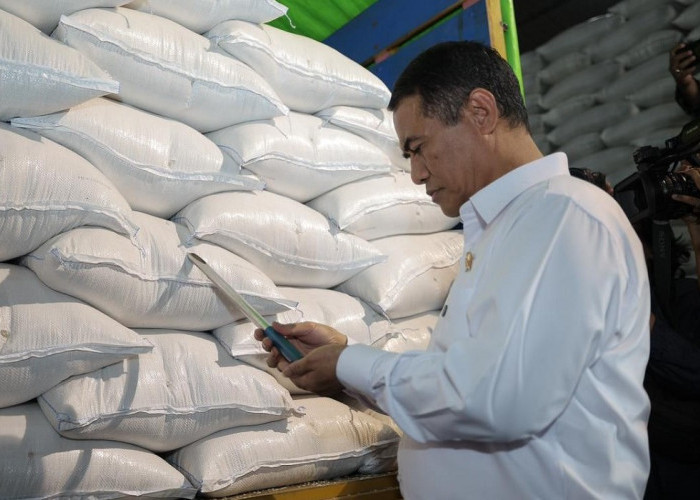 Di Tengah Ancaman Global, Cadangan Beras RI 5 Juta Ton, DPR Angkat Topi