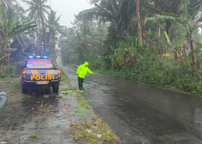 Tabrakan Beruntun RX King dan Truk di Ngluwar Magelang, Satu Pengendara Tewas