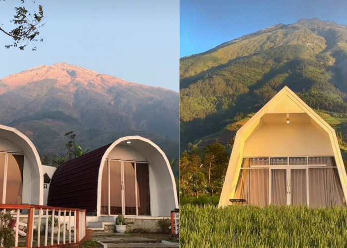 Lokasinya Berdekatan, Ini Perbedaan Trianggulasi Glamping dan Silancur Glamping