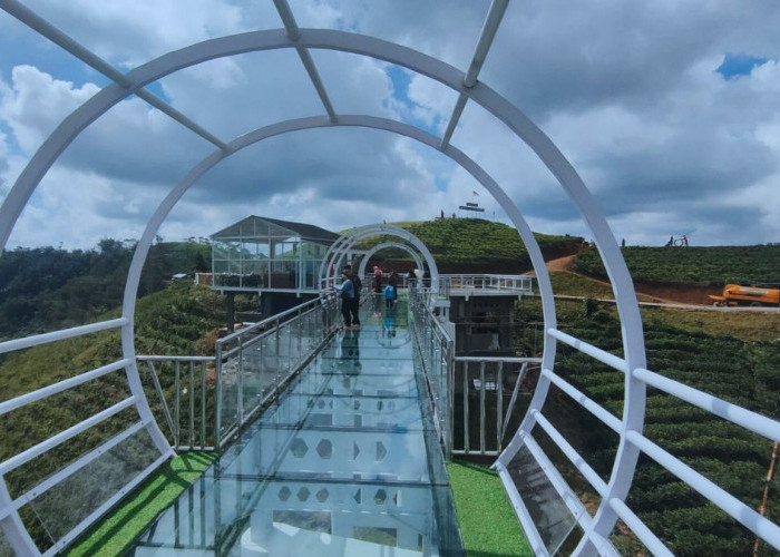 Sensasi Adrenalin Melintasi Jembatan Kaca Terpanjang di Jawa Tengah, Ternyata Bukan di Semarang