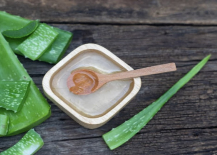 Atasi Rambut Rontok Cuma Pakai Bahan Alami? Cek Selengkapnya!