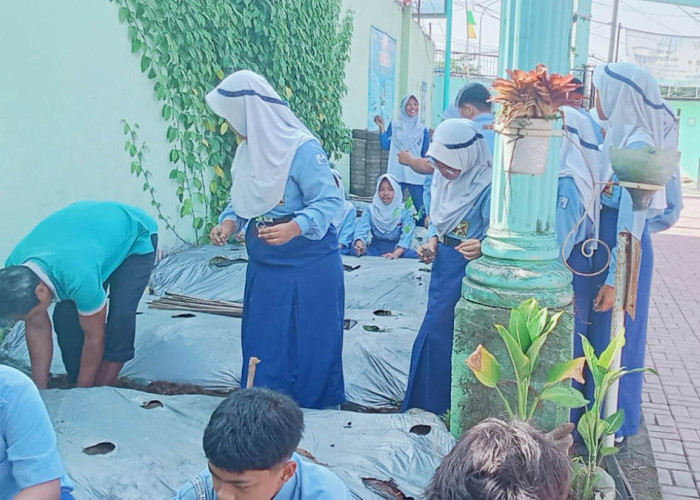 SMPN 10 Magelang Sulap Lahan Pasif Jadi Kebun Produktif lewat Pak Purba Makan Ketan