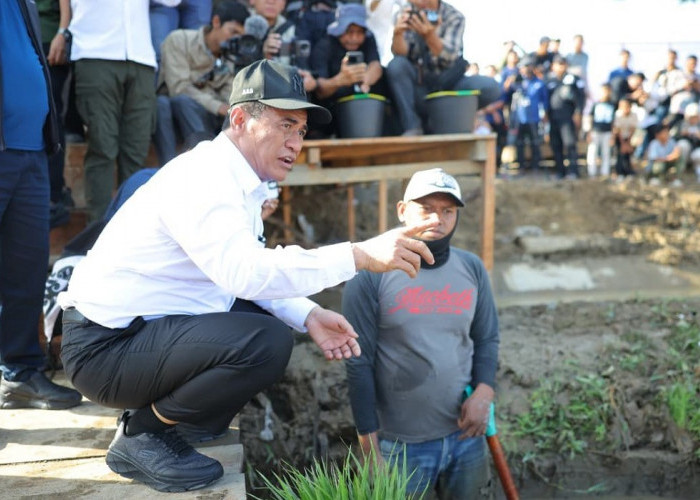 Mentan Amran: Padat Karya Kunci Pemulihan Pertanian Pascabencana, Petani Dilibatkan Langsung