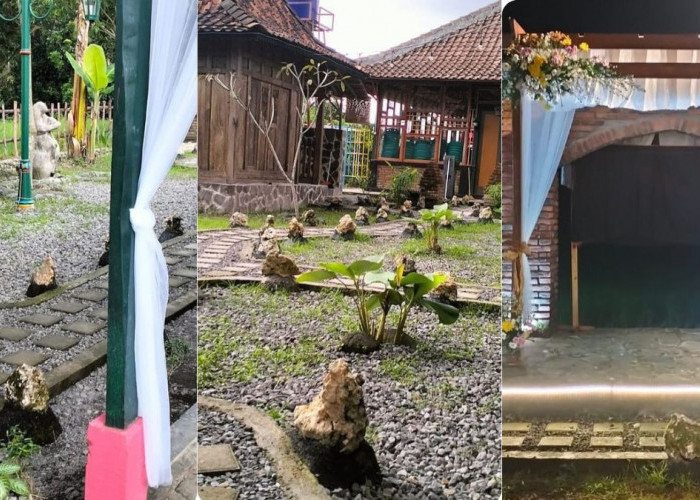 Suasana outdoor dan indoor Joglo Migunani Tampir, Candimulyo, Magelang