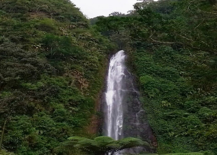 Wisata Tersembunyi Air Terjun Tancak yang Wajib Kamu Kunjungi di Jember!