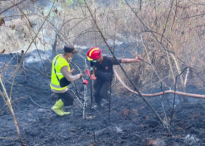 Kebakaran Hutan Gunung Merapi di Magelang Meluas, 5 Hektare Lahan Hangus Terbakar