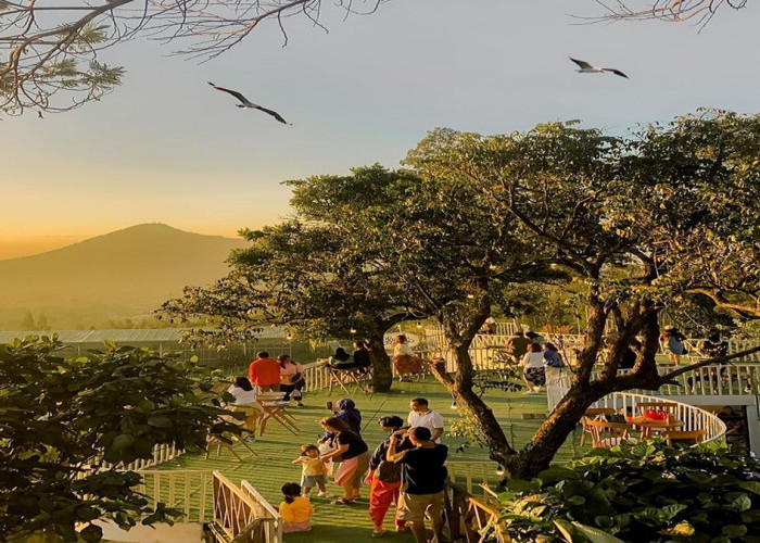 Sky Hills Cafe Tempat Nongkrong Instagramable dengan Pemandangan Memukau di Magelang