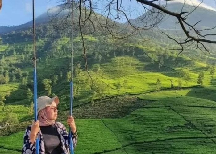 gunung cilik kaliurip wonosobo