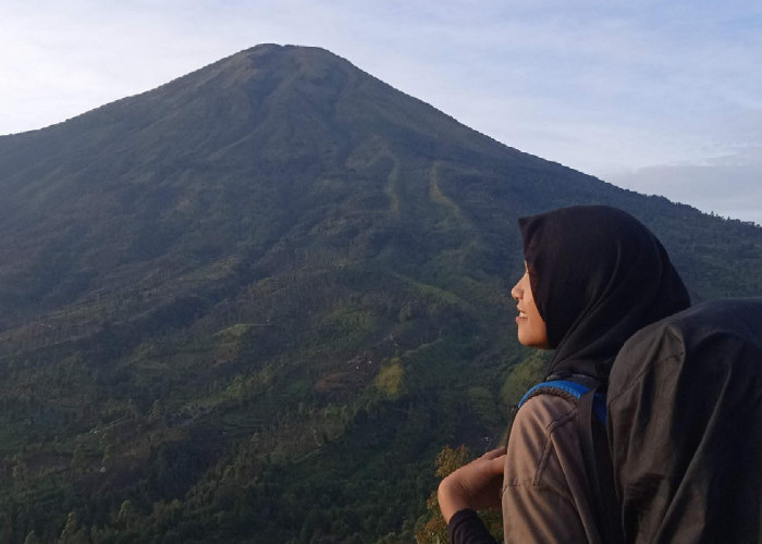 Menilik Pesona Mendaki Bukit Sikendil, Spot Terbaik Menikmati Keindahan Gunung Sindoro