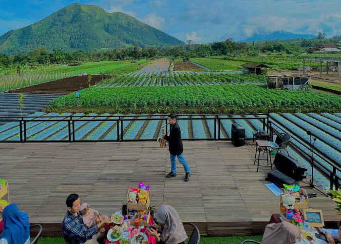 5 Cafe di Magelang dengan Pemandangan yang Wow Banget untuk Libur Lebaran 2023
