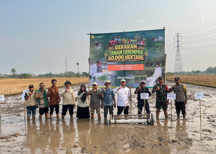 Tingkatkan Produktivitas, Kementan Gelar Tanam Serentak dengan Sistem PM-AAS