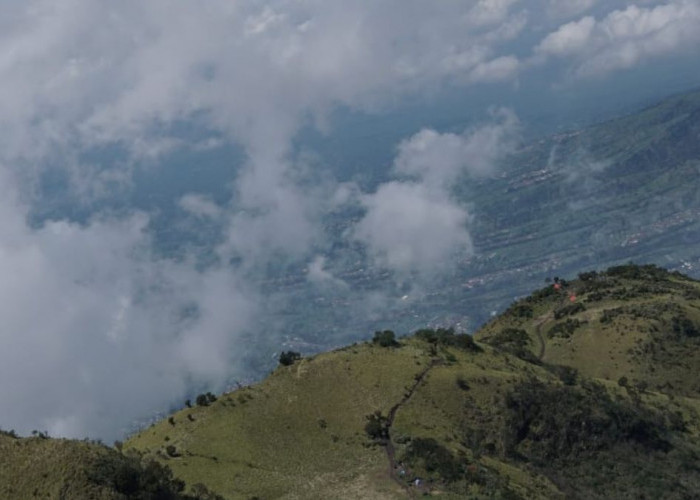 Indahnya Pesona ke Puncak Merbabu Via Cuntel, Anak Gunung Wajib Tahu 