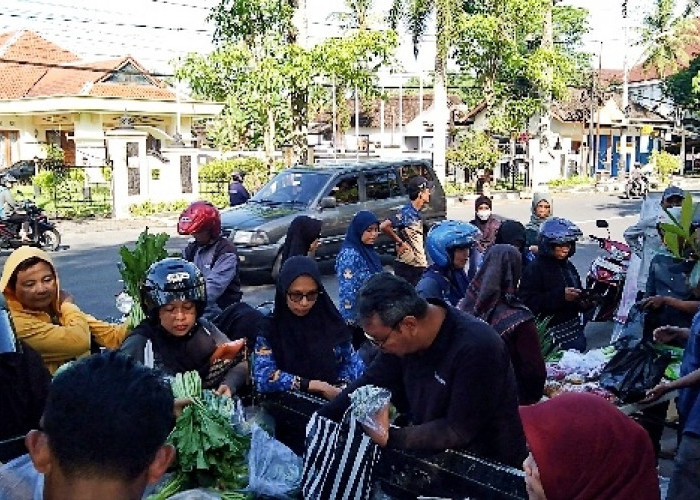 Stabilkan Harga, Petani Champion Magelang Jual Cabai dengan Harga Murah