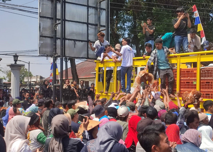 Peternak Ayam Wonosobo Tuntut Harga Telur Naik, Pakan Turun