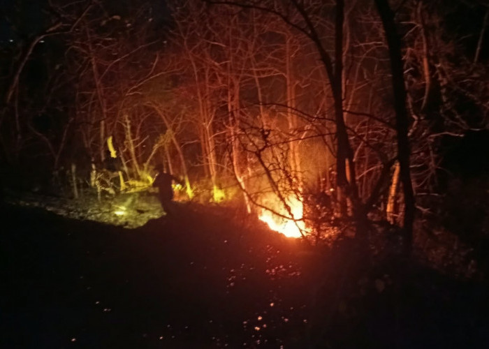 Lahan 4 Hektare di Kaliurip Kemiri Purworejo Terbakar, Api Padam Setelah 4 Jam