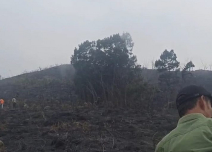 Kebakaran Hutan Gunung Sumbing Wonosobo Hanguskan 140 Hektar, Petugas Evakuasi Ratusan Pendaki
