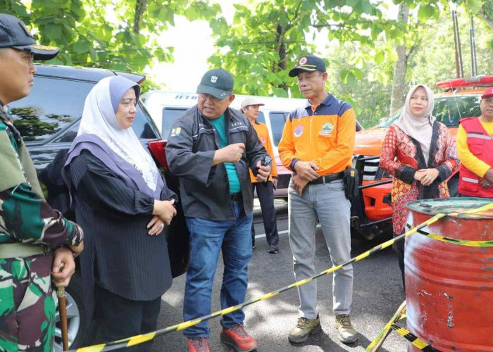 Bupati Purworejo Tinjau Longsor di Jalan Nasional dan Provinsi, Dorong Percepatan Penanganan Darurat