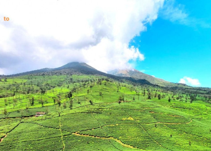 gunung cilik kaliurip wonosobo