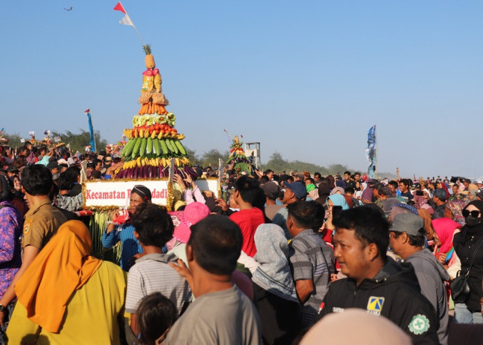 Merti Jaladri Pantai Jatimalang Purworejo, 80 Gunungan Tumpeng Meriahkan Sedekah Laut 2026
