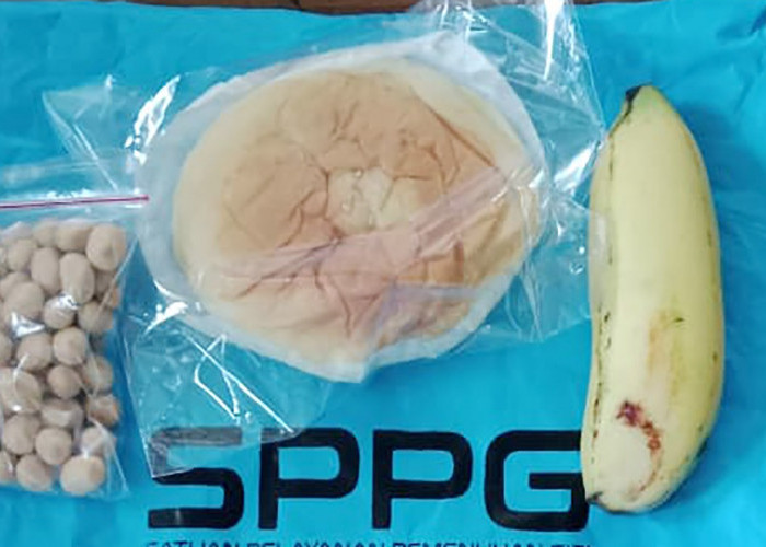 Kualitas MBG di Magelang Dikeluhkan, Anggaran Dipangkas, Menu Jadi Ala Kadarnya