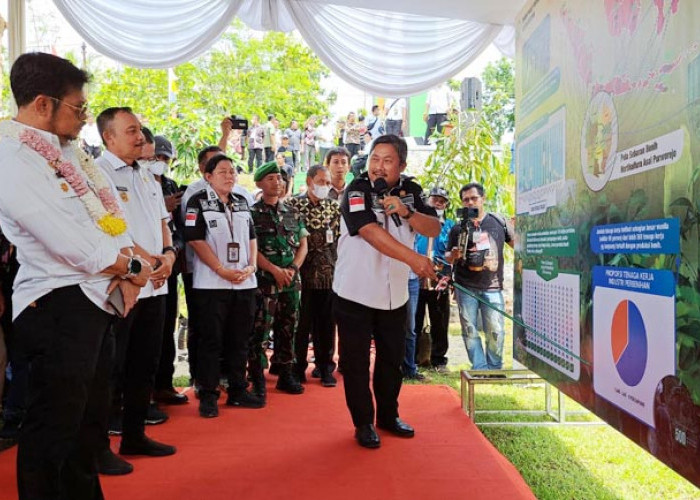 Purworejo Punya Kampung Benih Hortikultura Pertama di Indonesia, Mentan SYL Dorong Jadi Pemasok Bibit Terbaik 