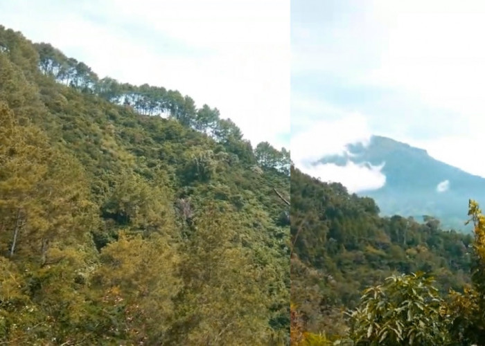 Wisata Tersembunyi di Magelang, Bukit Sukorini Windusari Masih Simpan Keindahan Alamnya Hingga Kini!