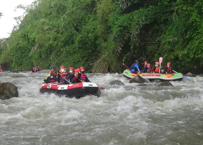 Sensasi Rafting di Sungai Bogowonto Kian Dilirik Wisatawan