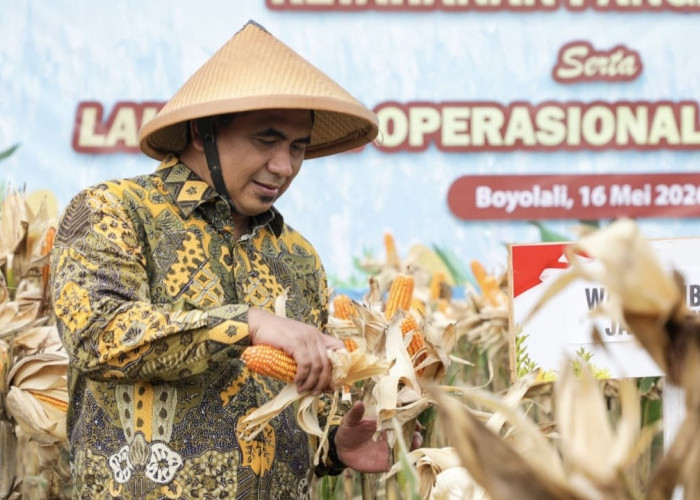 Taj Yasin Panen Jagung di Boyolali, Pemprov Jateng Dukung Agresivitas Polri Amankan Pangan