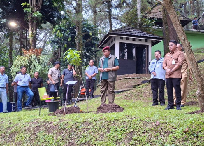 SBY Tanam Pohon di Taman Kyai Langgeng Kota Magelang, Serukan Aksi Nyata Atasi Pemanasan Global